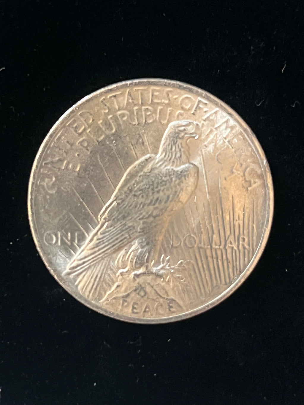 1922-1924 Peace Dollars
